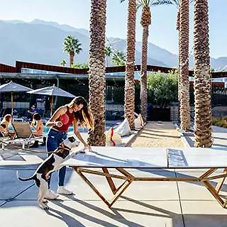 ****  Arrive Palm Springs - Adults Only Hotel USA